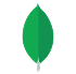 Wyscout
