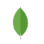 IPFS