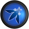 OWASP Mobile Security Top 10