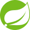 Spring Boot icon