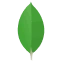 MongoDB icon