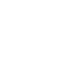 Dev Technosys