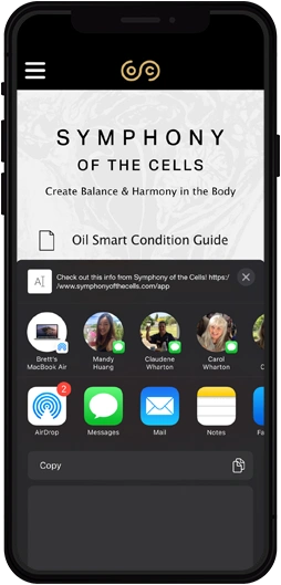 App screen