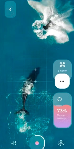 Dev Technosys