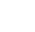 Dev Technosys