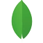 MongoDB