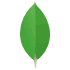 MongoDB