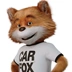CARFAX Car Care