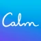 App Like Garmin Pilot