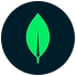 MongoDB logo, NoSQL Database