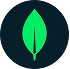 MongoDB database logo &mdash; flexible document storage for school data