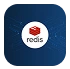 Kaleido Insights