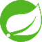 MongoDB Development