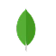 Angular Devlopment