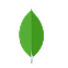 Sportradar 