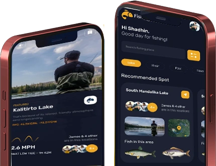Elfster App
