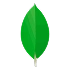 MongoDB