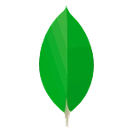 MongoDB