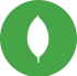 MongoDB Development