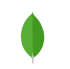 MongoDB
