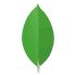 MongoDB    