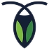 CockroachDB