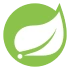 Spring Boot    