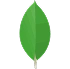 MongoDB    