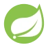 Spring Boot   