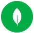 MongoDB Atlas     