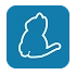 IBM Cloud