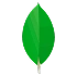 MongoDB