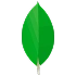 MongoDB