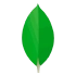 PouchDB    