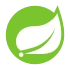 Spring Boot    
