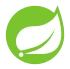 Spring Boot    