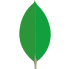 MongoDB Development