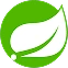 Java (Spring Boot)