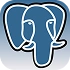 PostgreSQL Development