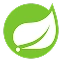 Spring Boot backend technology icon