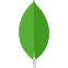 MongoDB database technology icon
