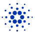 Cardano Devlopment