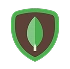 MongoDB