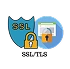 SSL/TLS Protocols