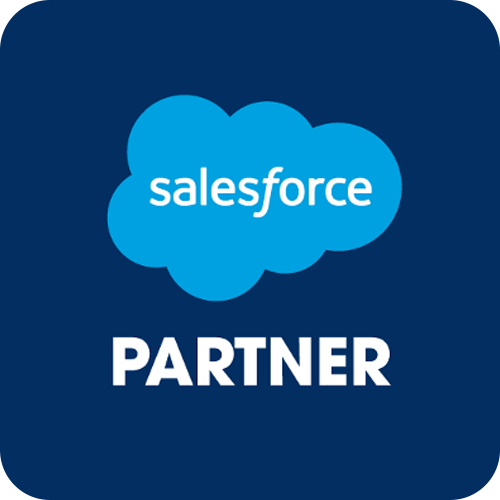 Custom Salesforce Development Services
