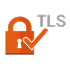 TLS (Transport Layer Security)