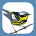 Sibley Birds 2nd Ed.
