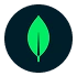 MongoDB
