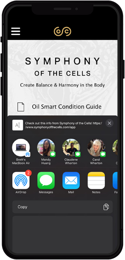 App screen
