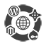 CMS Web Development